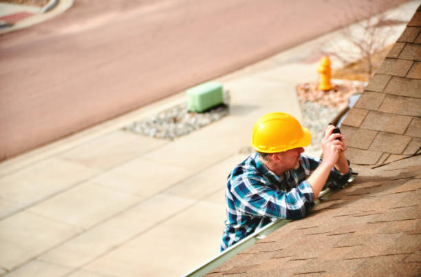Best Roof Repair Services  in Beaverton, MI
