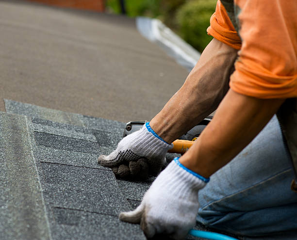 Best Storm Damage Roof Repair  in Beaverton, MI